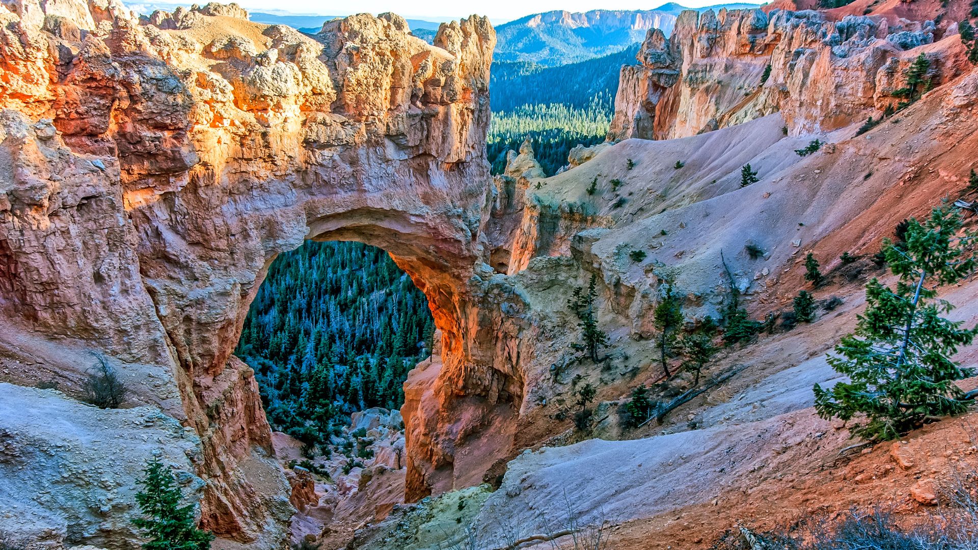Bryce canyon natural bridge red rock formation