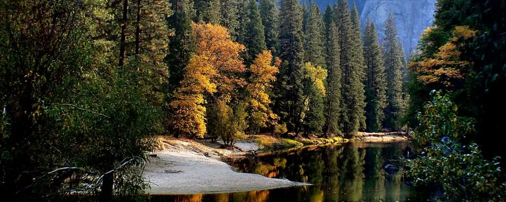 Fall leaves and river